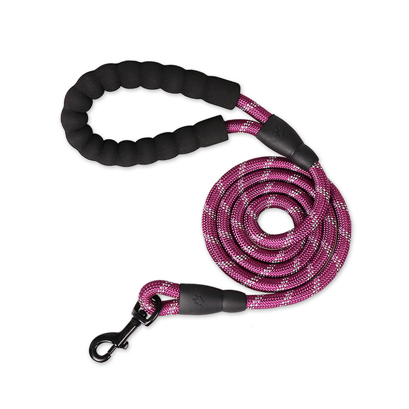 Nylon braided dog leash