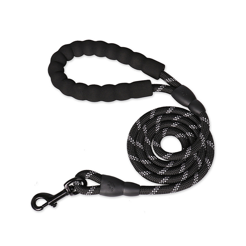 Nylon braided dog leash