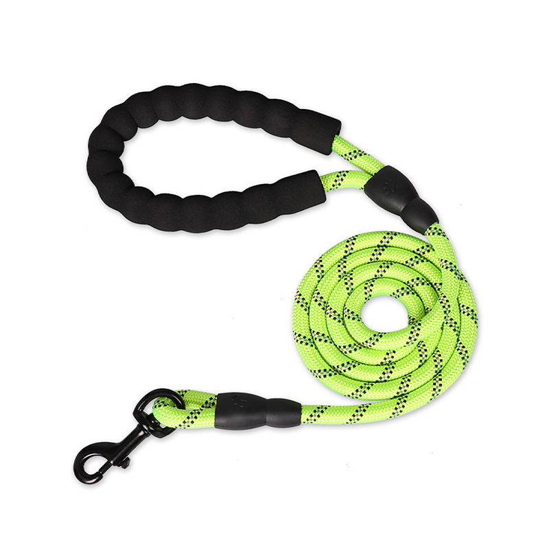 Nylon braided dog leash