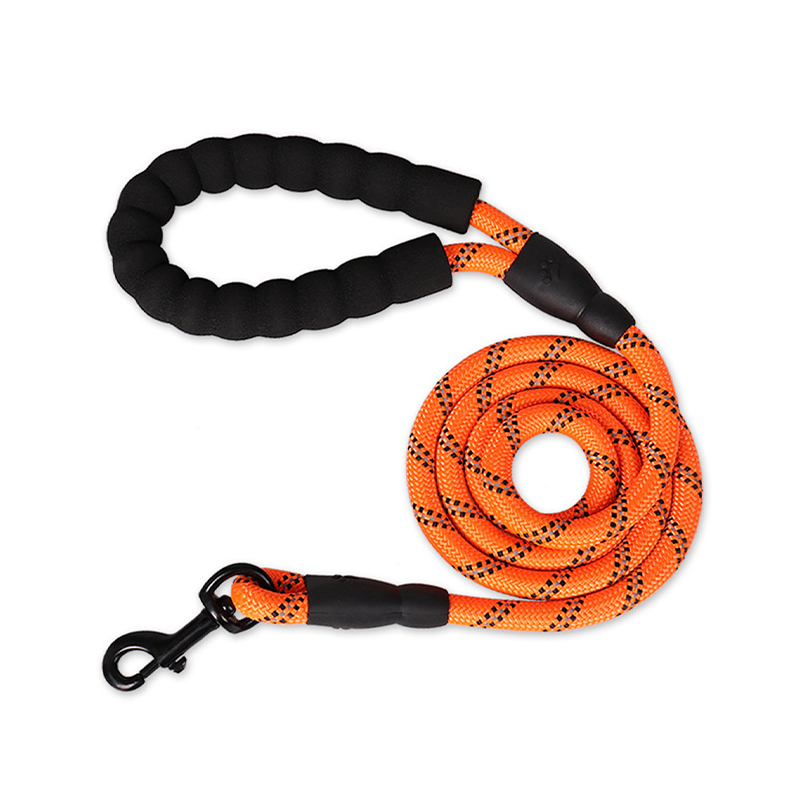 Nylon braided dog leash