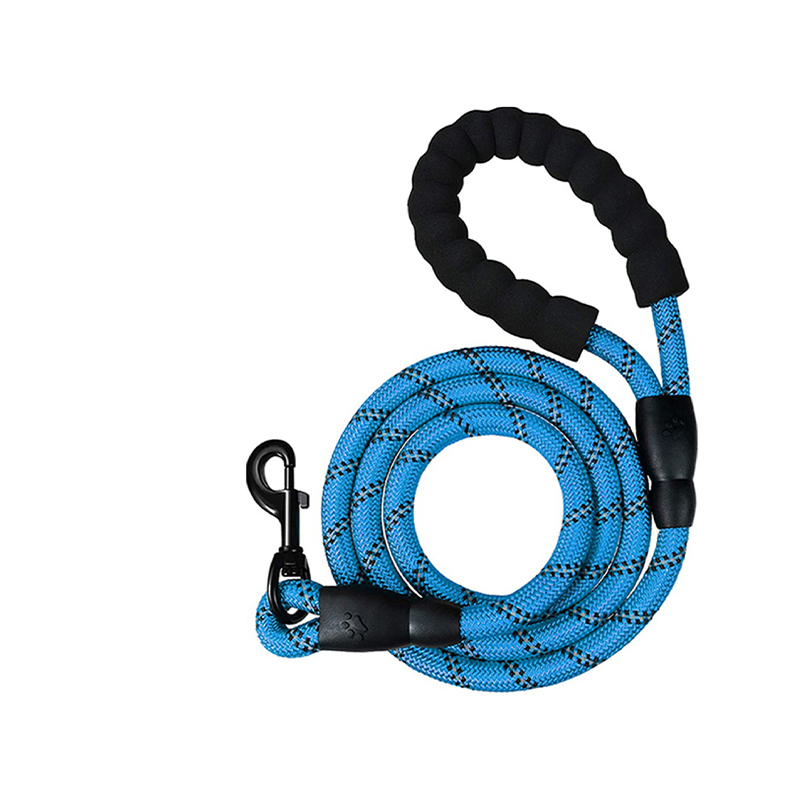 Nylon braided dog leash