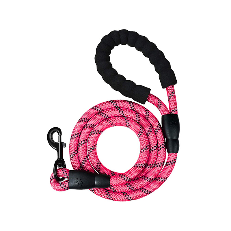 Nylon braided dog leash