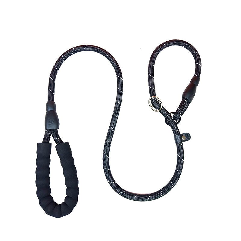 Pet training leash P chain