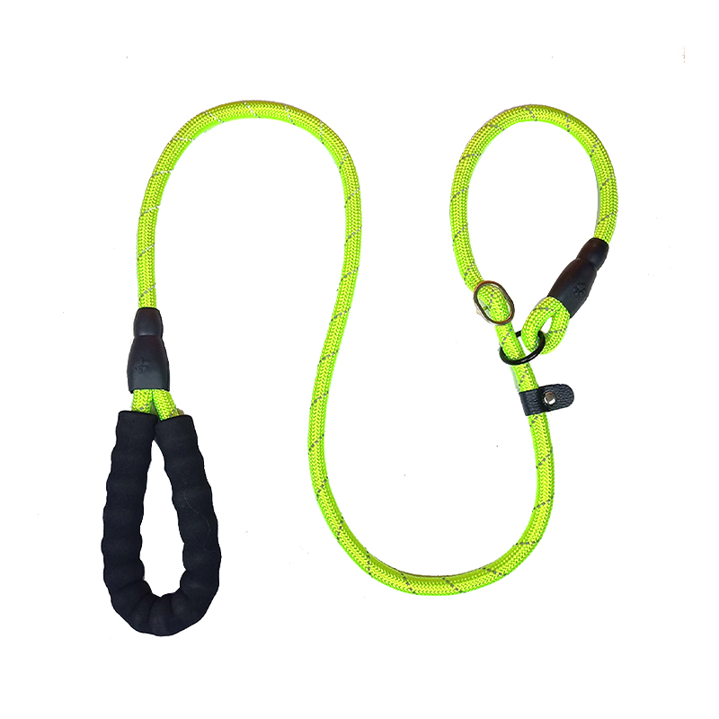 Pet training leash P chain