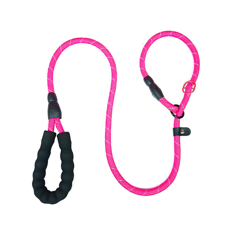 Pet training leash P chain