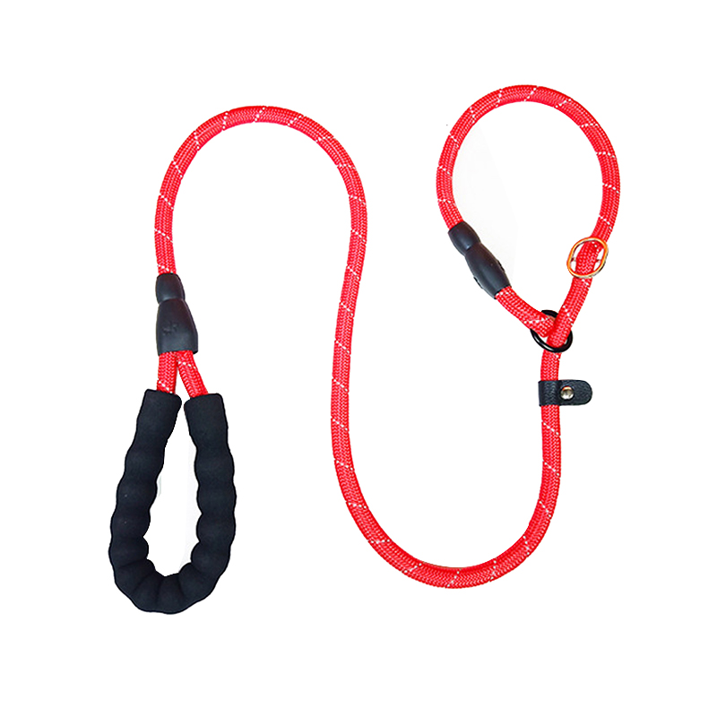 Pet training leash P chain