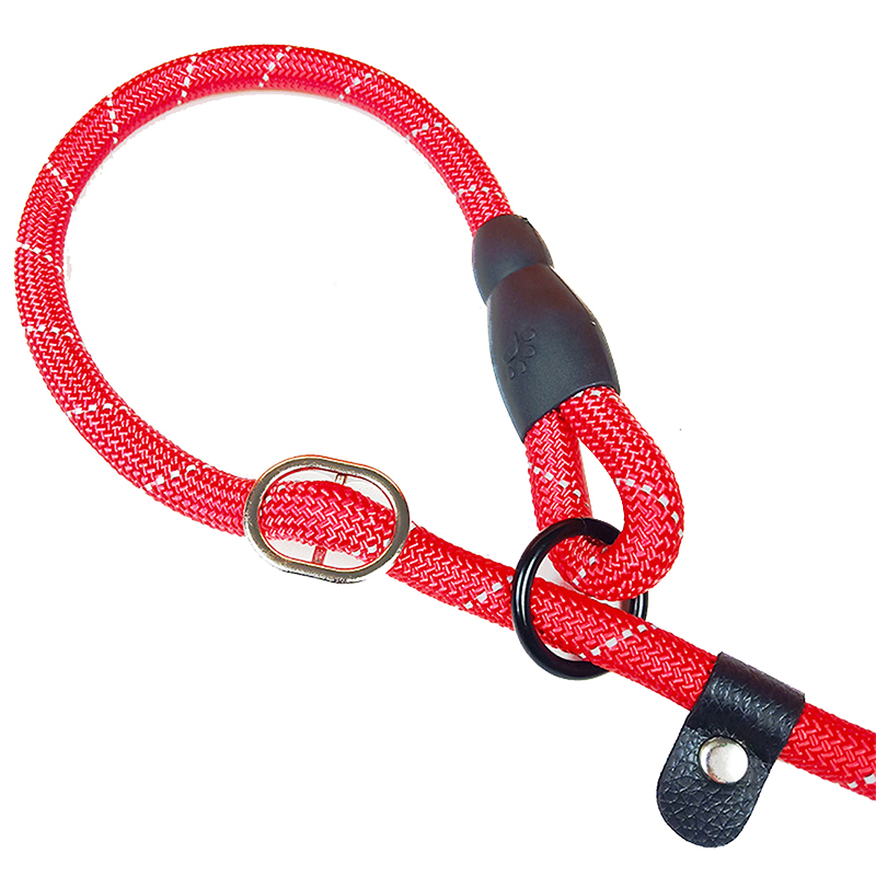 Pet training leash P chain