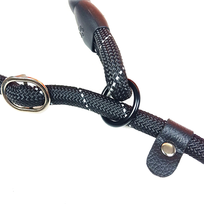 Pet training leash P chain