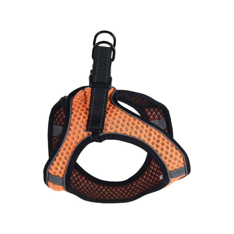 Dog harness custom