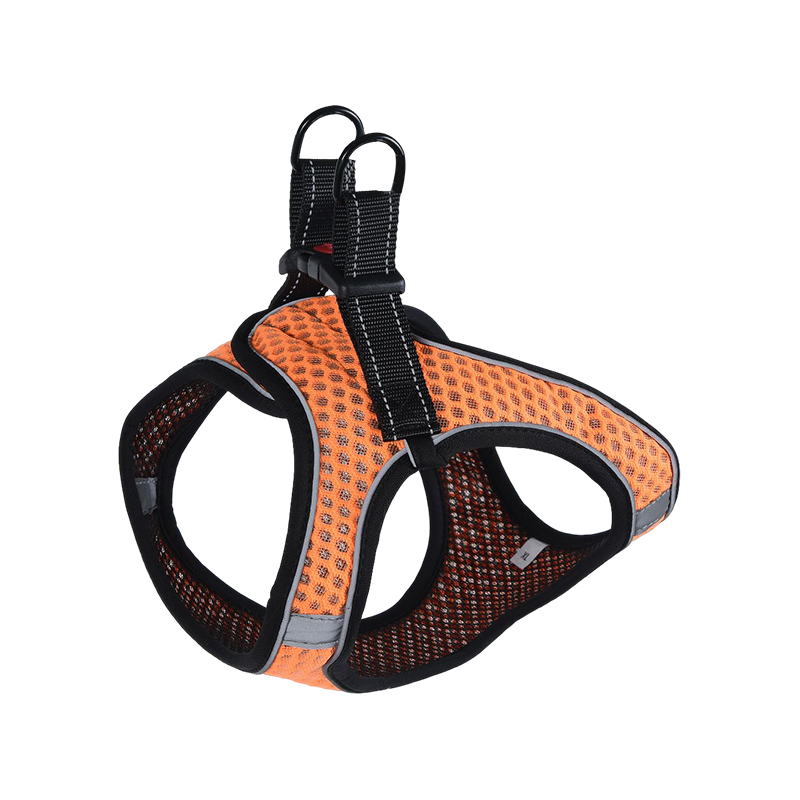 Dog harness custom