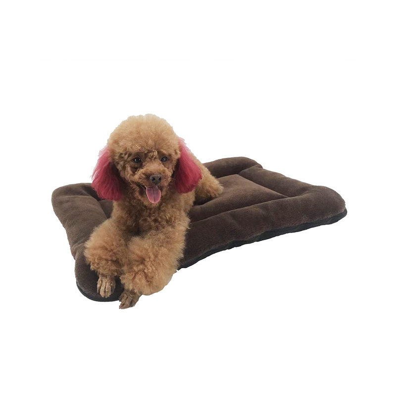 Dog cushion